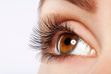 Ravish Brows